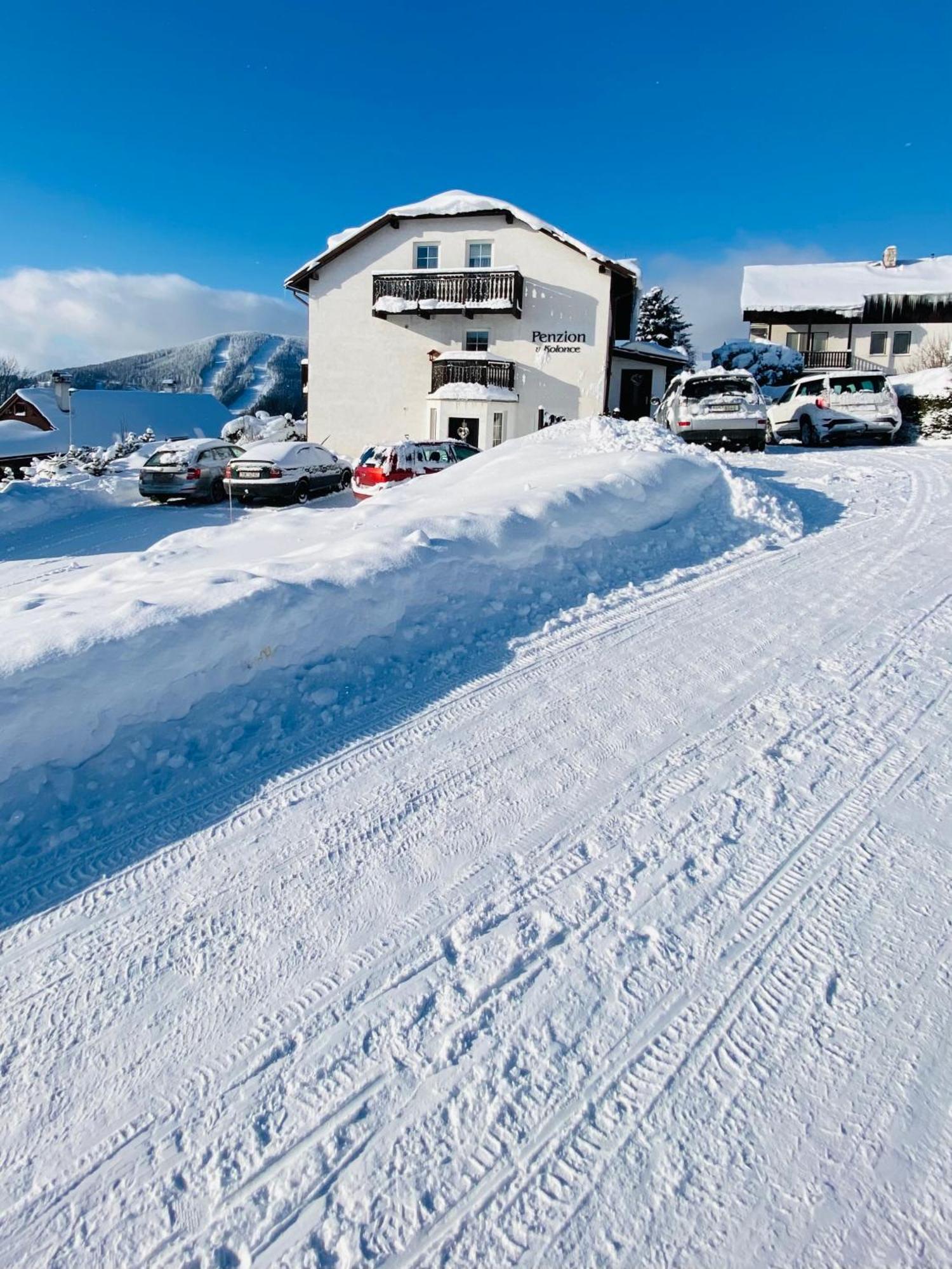 Penzion V Kolonce Strážné Eksteriør bilde