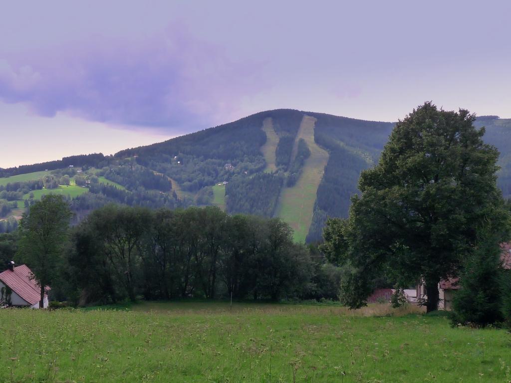 Penzion V Kolonce Strážné Eksteriør bilde